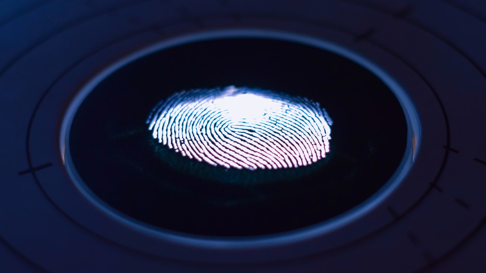 What is Candidate Verification? A Guide to Fraud Detection